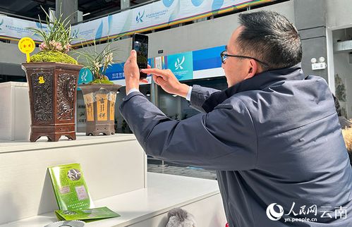 第31屆中國 維西 蘭花博覽會開幕