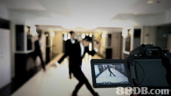 2020最新25個有關視覺效果之價格及商戶聯絡資訊 hk 88db.com