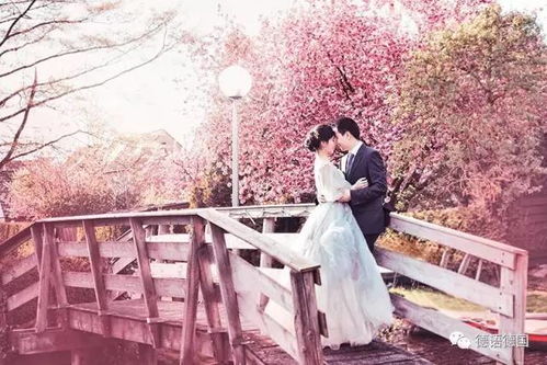 免費租房 陪睡就可以了 英國風靡起以性代租的潮流,被臥底記者曝了個精光