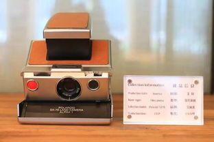 快樂暑期,來運動小鎮開啟不一樣的研學之旅