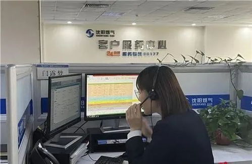 即日起至2023年底前,沈陽燃氣集團將為全市市民用戶免費安裝燃氣報警器 楊曉宇 閥門 網易訂閱