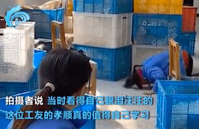 工廠女工對著手機不斷磕頭,畫面另一側是80歲父親,拍攝者 看得眼淚汪汪