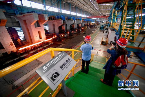 從污染 黑名片 到 綠色風(fēng)景區(qū) 一座 城市鋼廠 的綠色蝶變