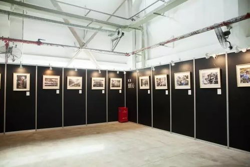 多彩十年 才華盡顯┃福建奔馳職工首屆攝影 書畫及手工藝品展暨攝影協會 奔馳映像 授牌儀式