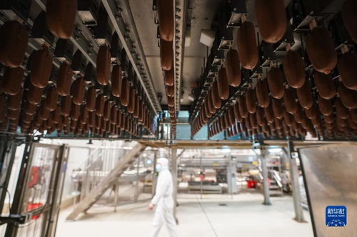 當冰淇淋遇到 智能制造 探訪日產900萬支冰淇淋的 燈塔工廠