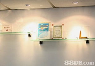 藝風教育協會提供燈光攝影課程,數碼攝影課程,人像攝影課程等服務