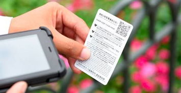 迪士尼城堡前的完美瞬間，即刻留影服務