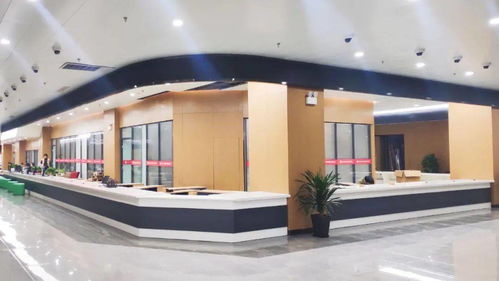 鳳臺縣政務服務中心搬遷新址，智慧政務與人文關懷并重，高清大圖帶你直擊現場